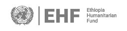 ehf logo