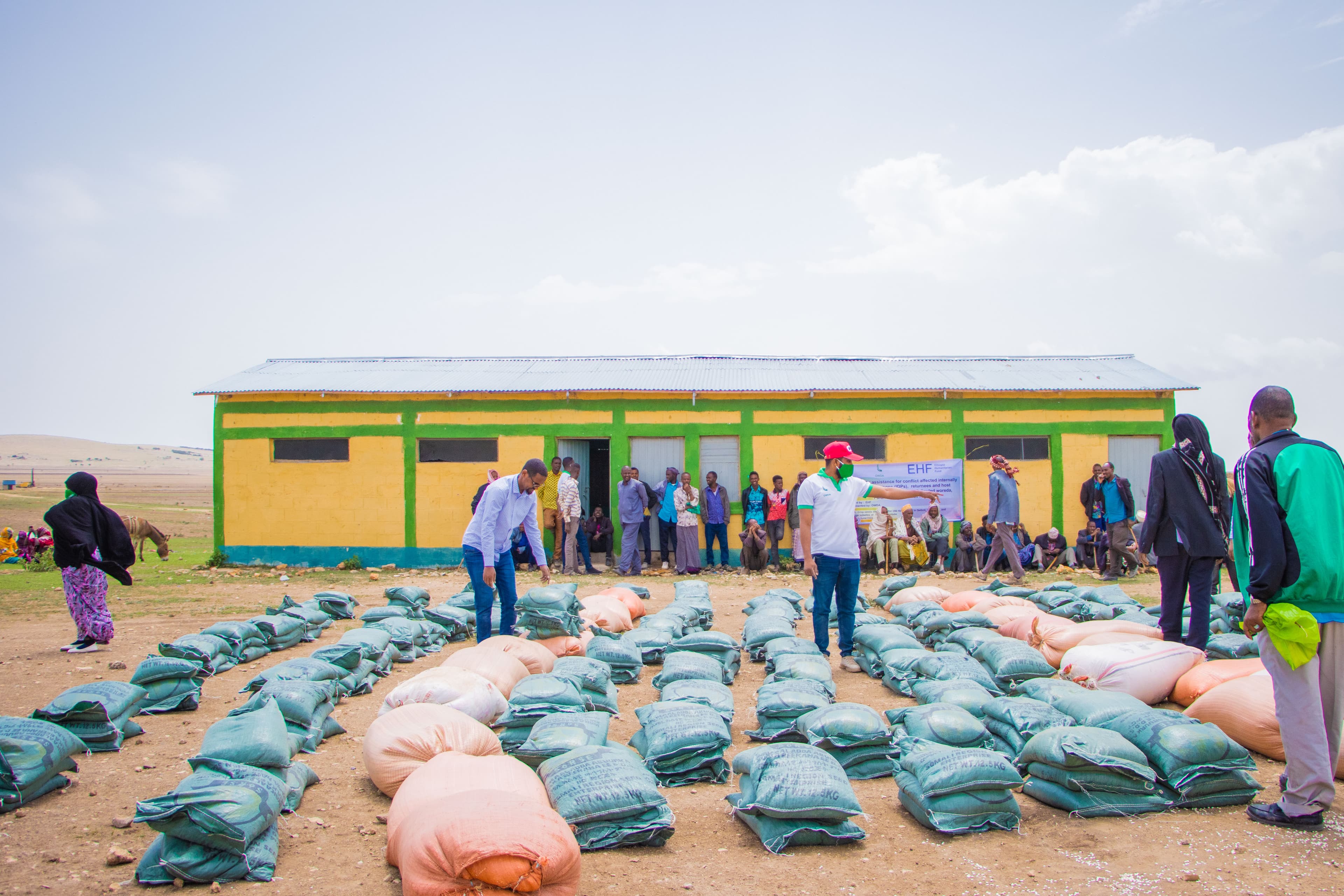 Food Security and Livelihood Sector